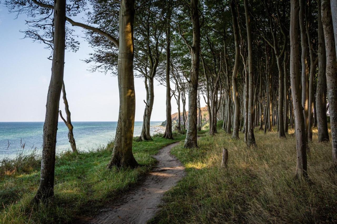 Ferienhaeuschen Kuestenwald Bei Warnemuende, Eigener Garten, Terrasse Mit Strandkorb, 400M Zum Strand Дідріхсгаґен Екстер'єр фото